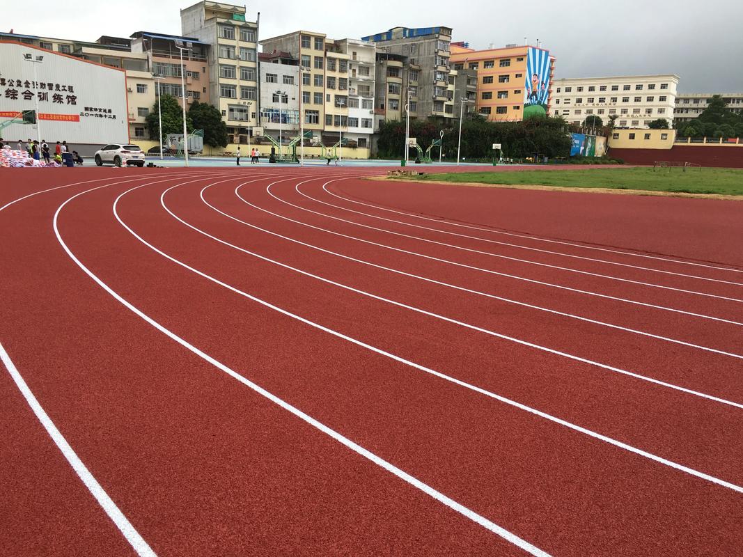 崇左市硅PU材料塑胶跑道材料 - 方案